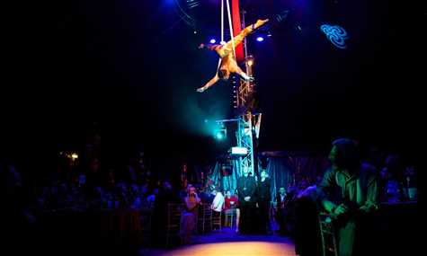 Bloomsbury Cirque Lumiere