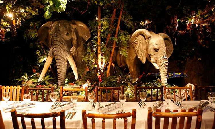 Sheffield cafe christmas party 2022